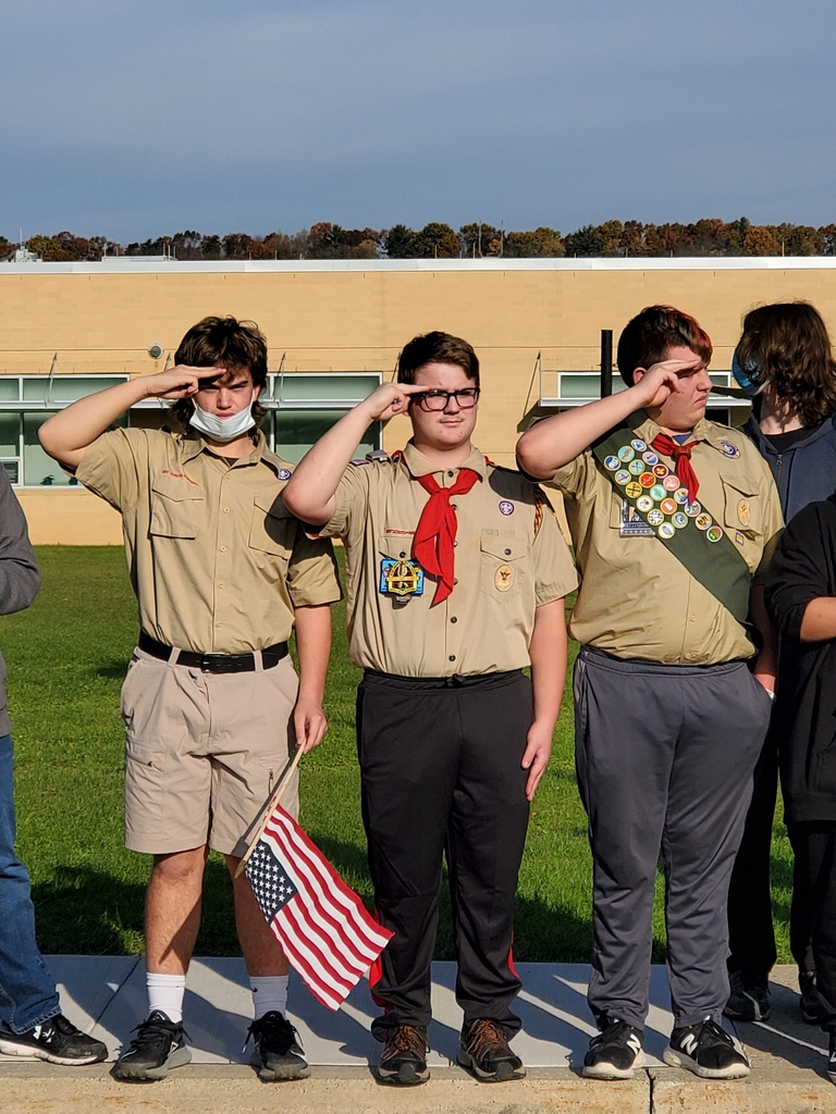 Local Boy Scouts saluting the veterans.