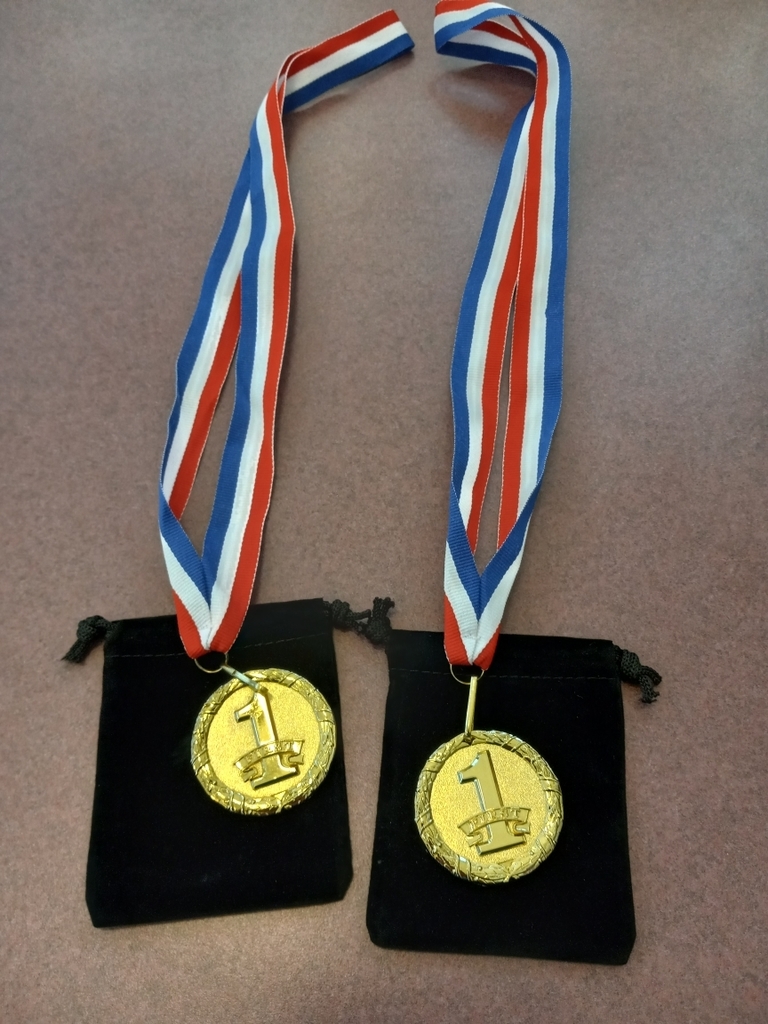 First place medals !  These awards will be presented at the Awards ceremony at the end of the year.